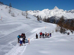 Il CAI Verbano con le ciaspole e con gli sci alla spianata di Maderlicke (Vallese) da Rothwald: lungo la pista di sci con alle spalle il Bietschhorn