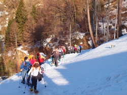 CAI Verbano - Val Colla (CH) Monte Garzirola: lungo il percorso di salita