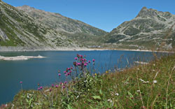 CAI Verbano - Da Isola a Splugen attraverso le Gole del Cardinello: il Lago di Montespluga