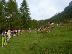 CAI Verbano - Da Bosco Gurin (TI) a Fondovalle (Val Formazza): su sentiero ben tenuto e ben segnalato