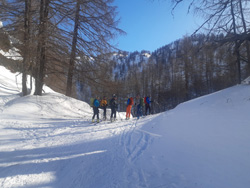 CAI Verbano - Alpe Devero - Pizzo Troggi: il gruppo degli scialpinisti
