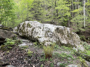 CAI Verbano e Amici della Montagna di Brissago (CH) - La Via dei torchi e dei mulini: il masso di "pietra ollare"