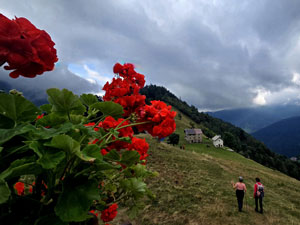 CAI Verbano - In Val Mastallone (VC) con sosta alla festa dell’Alpe Res: all'Alpe Faut