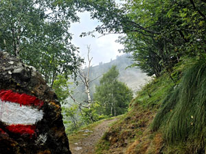 CAI Verbano - In Val Mastallone (VC) con sosta alla festa dell’Alpe Res: lungo il percorso