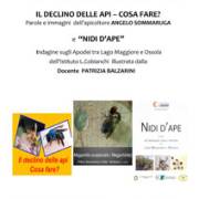CAI Verbano: Api e ambiente, una serata con l’apicoltore Angelo Sommaruga e la Prof. Patrizia Balzarini - 13 ottobre 2023